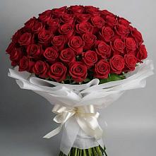 Букет 101 Красная роза Блэк Мэджик #REPLACE_PRED# Тетюшах