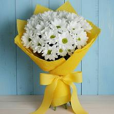 Букет цветов из:  Хризантемы в Тетюшах