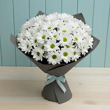 Букет цветов из:  Хризантемы в Тетюшах