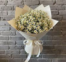 Букет цветов из:  Ромашки в Тетюшах