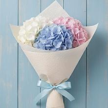 Букет цветов из:  Гортензия в Тетюшах