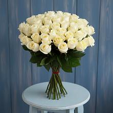 Букет 51 Белая роза Эдлесс Лав #REPLACE_PRED# Тетюшах