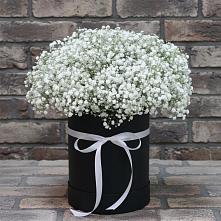 Цветочная композиция из Гипсофила в шляпной коробке в Тетюшах