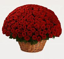 Премиум букет из: Розы в Тетюшах