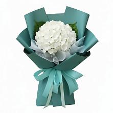 Букет цветов из:  Гортензия #REPLACE_PRED# Тетюшах